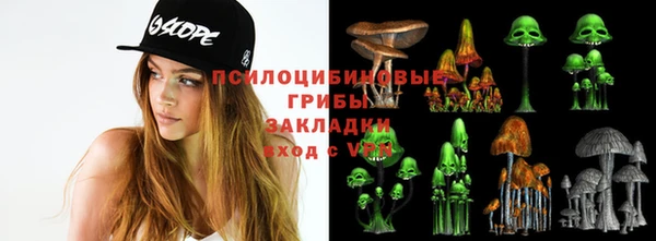 альфа пвп Новозыбков