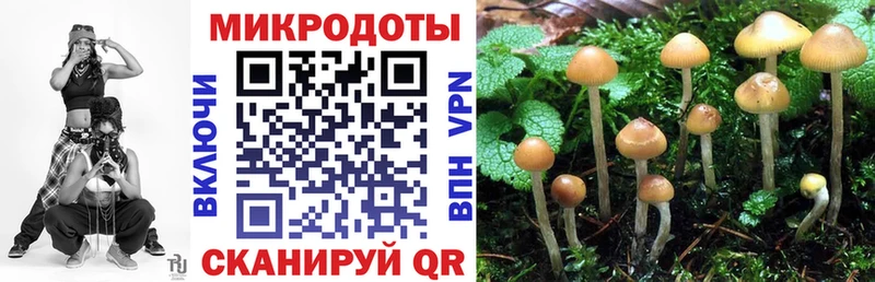 Галлюциногенные грибы мицелий  площадка наркотические препараты  Приволжск 